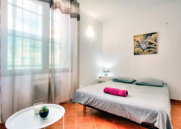 Grande Chambre Au Coeur De Montpellier
